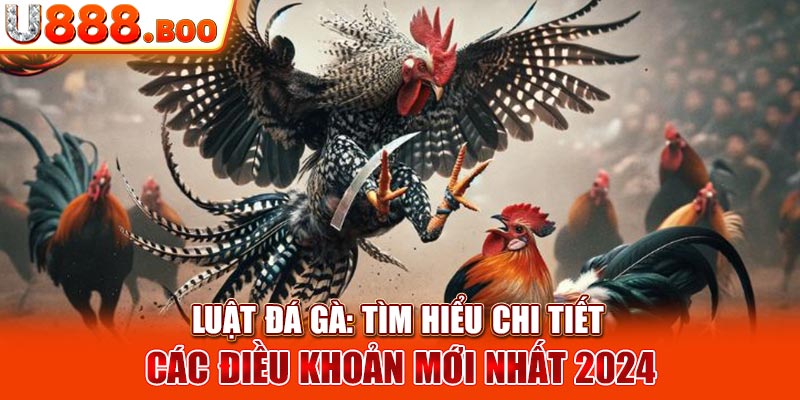 Luật Đá Gà: Tìm Hiểu Chi Tiết Các Điều Khoản Mới Nhất 2024