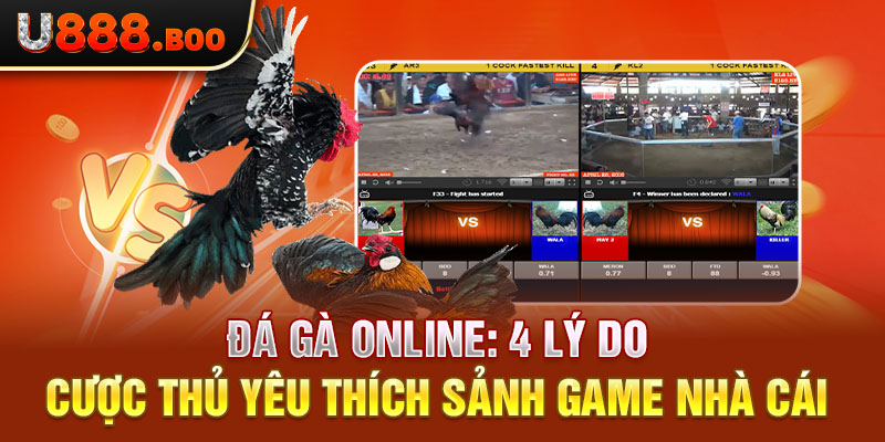 Đá Gà Online: 4 Lý Do Cược Thủ Yêu Thích Sảnh Game Nhà Cái