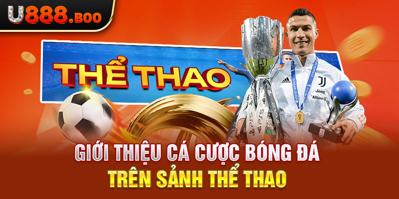 Giới thiệu cá cược bóng đá trên sảnh thể thao