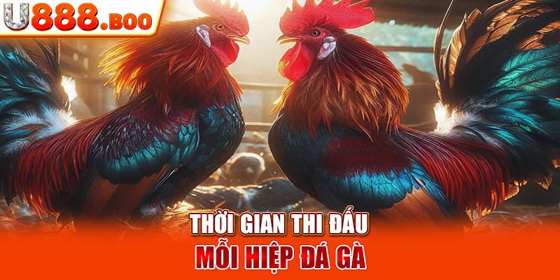 Thời gian thi đấu mỗi hiệp đá gà