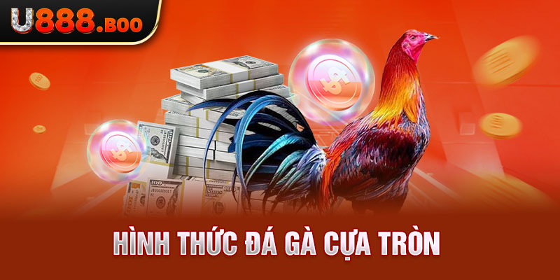 Hình thức đá gà cựa tròn