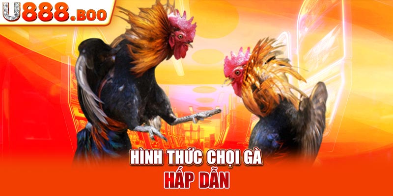 Hình thức chọi gà hấp dẫn