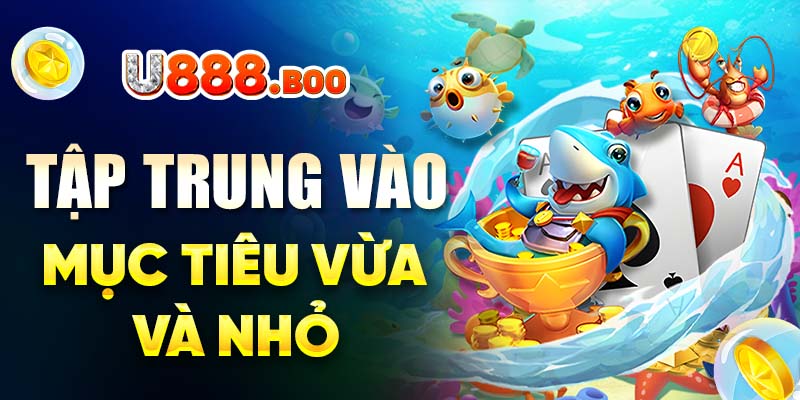 Tập trung vào mục tiêu vừa và nhỏ